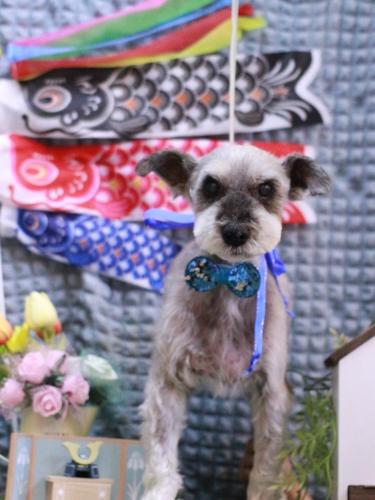 20230506あいこちゃん